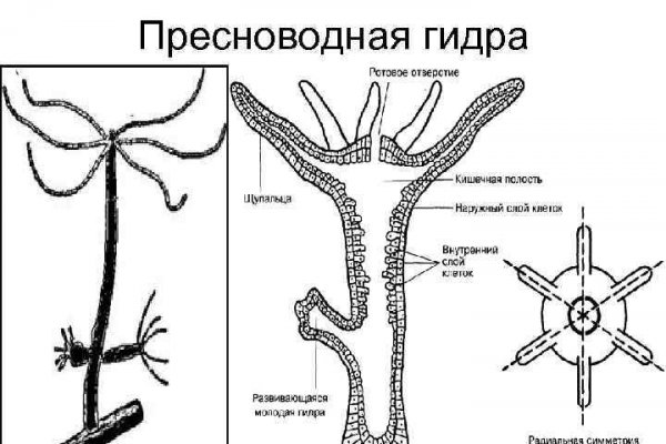 Кракен торговая