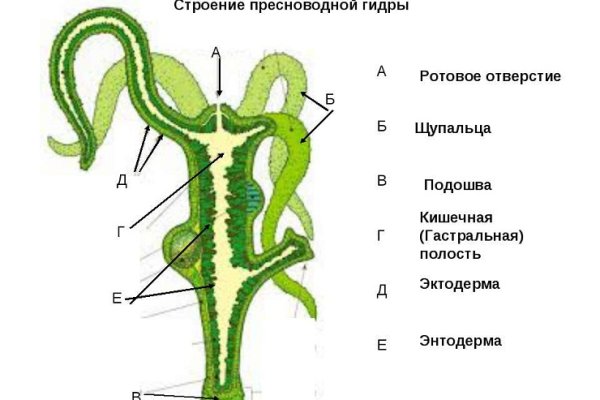 Кракен гидра даркнет