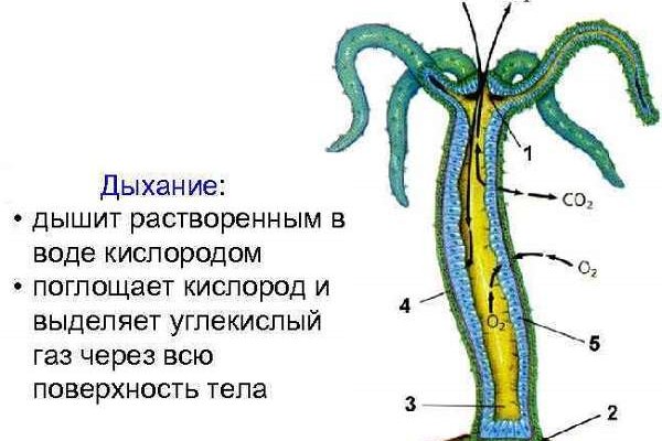 Кракен магазин зеркало