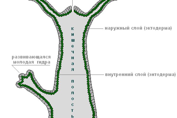 Кракен официальная ссылка kraken torion