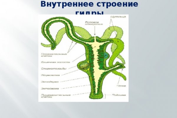 Кракен онион как зайти vtor run